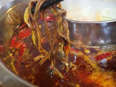 -金鼎雪山牦牛杂火锅(理县总店)