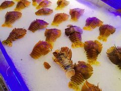 -澜悦港海鲜体验主题餐厅
