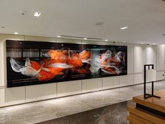 -深圳机场凯悦酒店