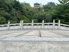 -水濂山森林公园