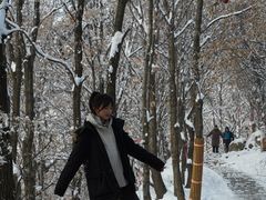 -少华山国家森林公园