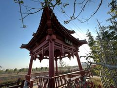 -商丘古城-应天书院