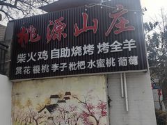 -桃源山庄·水蜜桃采摘·柴火鸡·烧烤团建(龙泉山店)