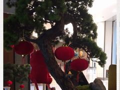 -新白鹿餐厅(虹桥南丰城店)