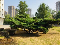 -辽宁大学(崇山校区)