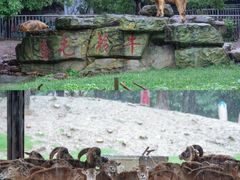 -常州淹城野生动物世界