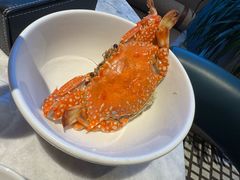-源·咖啡自助餐厅·开渔季·闽南美食·三文鱼·烧烤(海口华彩洲际酒店)