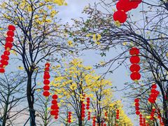-洲头咀公园