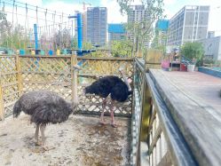 -三分地生态园·儿童乐园