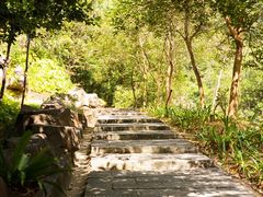 -广州白江湖森林公园