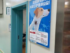 -北京观赏动物医院·24小时大型综合·猫专科·异宠专科