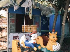 -泰州凤城河风景区-泰山公园