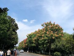 -橘洲1910花园江景西餐厅