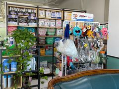 -欧奕国际动物医院