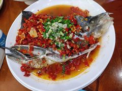 -全乐鱼馆·淳牌有机鱼直营店