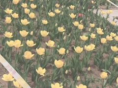 -长春公园(普阳街道)