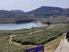 -嵛山岛