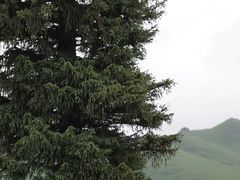 -新疆那拉提国家旅游度假区