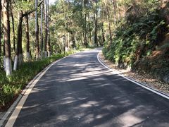 -三门江国家森林公园