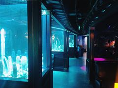 大堂-贰麻酒馆(金山斗酒场店)
