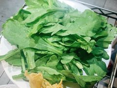 -友乐居羊蝎子(西直门店)