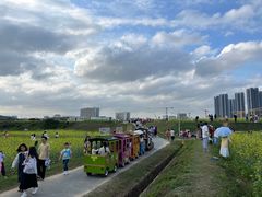 -光明小镇欢乐田园