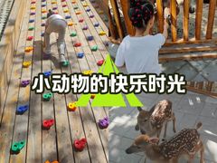 -北京鹿世界主题园