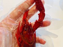 熟醉小龙虾-玫瑰厅上海菜(兴国路店)