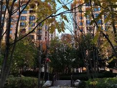 -黑龙江省森林植物园