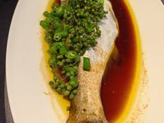 -桂满陇·海市蜃楼·黑金(国金店)