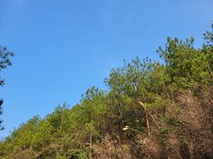 -重庆云阳龙缸景区