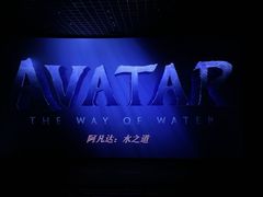 -金逸影城(大悦城IMAX激光店)