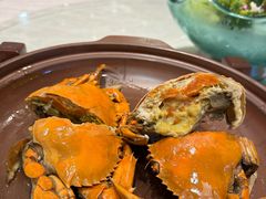 -大东海海鲜酒楼(渔人码头总店)