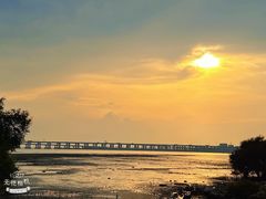 -宝安西湾红树林湿地公园