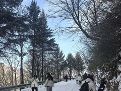 -嘉陵江源头景区