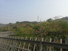 -福道
