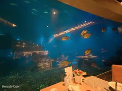 -海棠湾洲际-涛·海底餐厅·美人鱼·自助餐·海底隧道