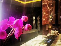 -广州四季酒店