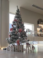 -VE专注问题肌·赛诺龙&科学美肤中心