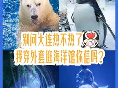 -大连圣亚海洋世界
