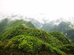 -娄山关景区