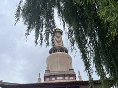 -张掖大佛寺景区