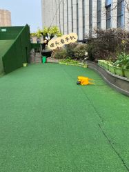 -可可天空农场(中大店)