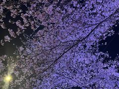 -西北湖绿化广场