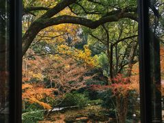 -中国茶叶博物馆(双峰馆区)