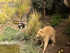 -陕西自然博物馆