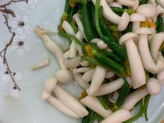 乳瓜白玉菇-砂锅居(西四店)