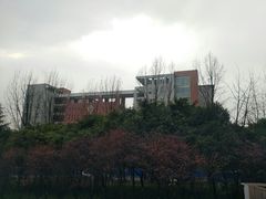 -西南政法大学(渝北校区)
