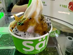 -Salud撒露欧洲冻酸奶(五道口购物中心店)