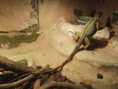 -上海昆虫博物馆